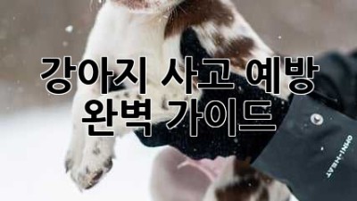 강아지 사고 예방 완벽 가이드